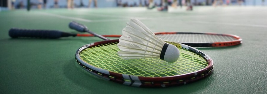 badminton game