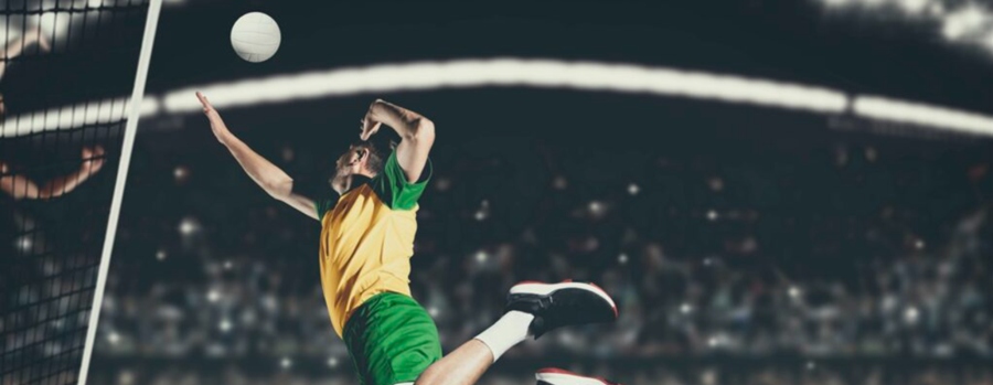 volleyball betting online